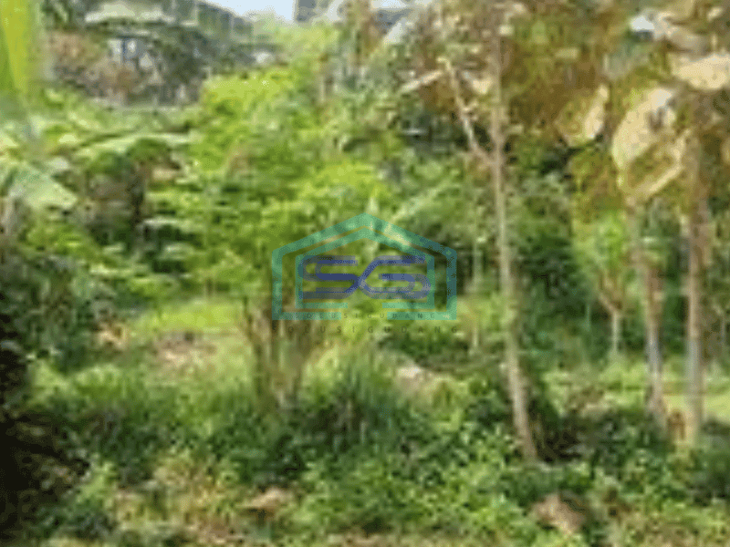 Dijual Kavling Murah Sekali di Awiligar Cigadung