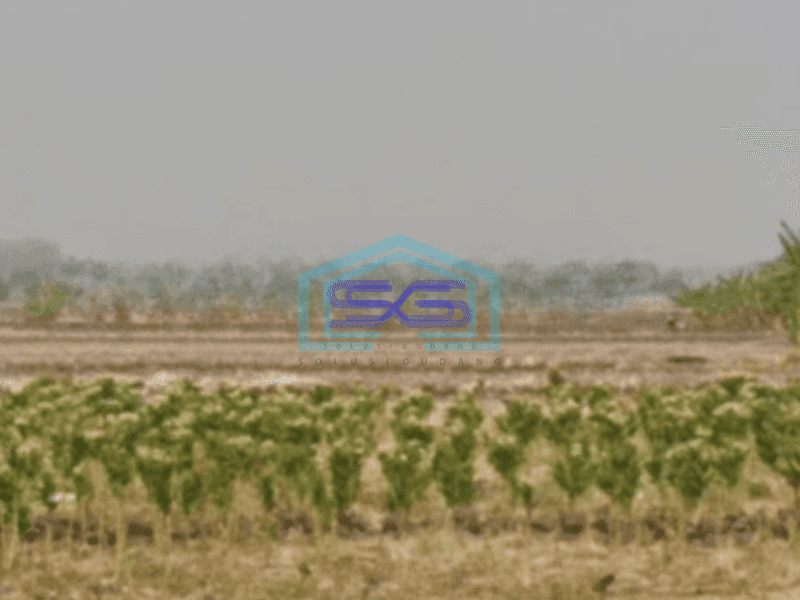 Dijual Tanah di Balongpanggang Gresik Jawa Timur