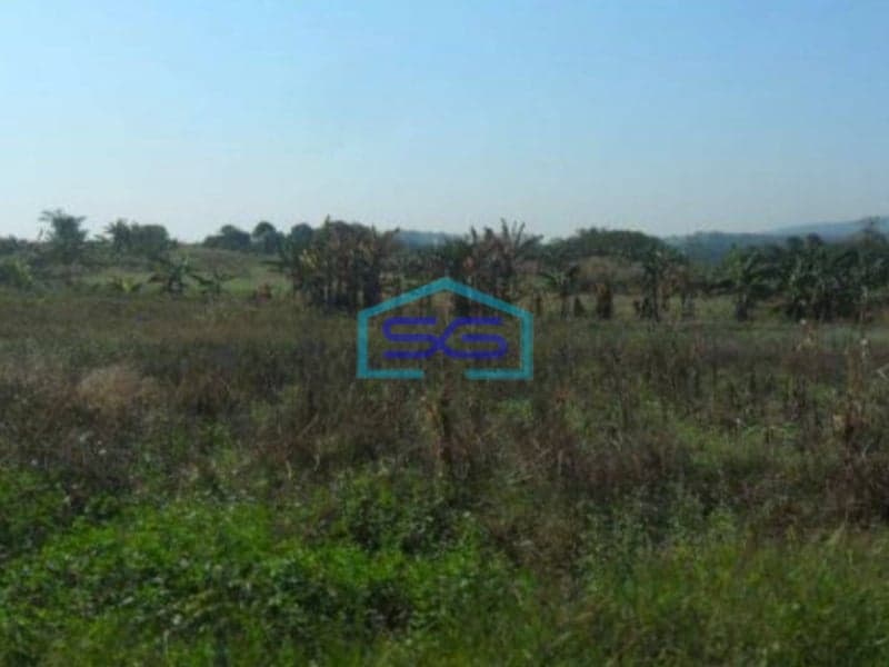 Dijual Tanah Di Desa Nolokerto Kaliwungu Kendal Sangat Strategis Dipinggir Tol Semaranga LT 1165911