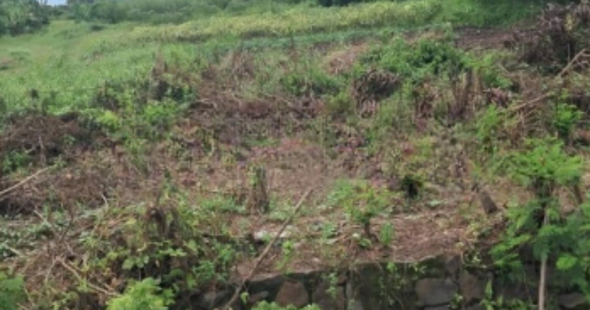 Large Land for Sale 75,000 m² Located on Raya Serang Tangerang