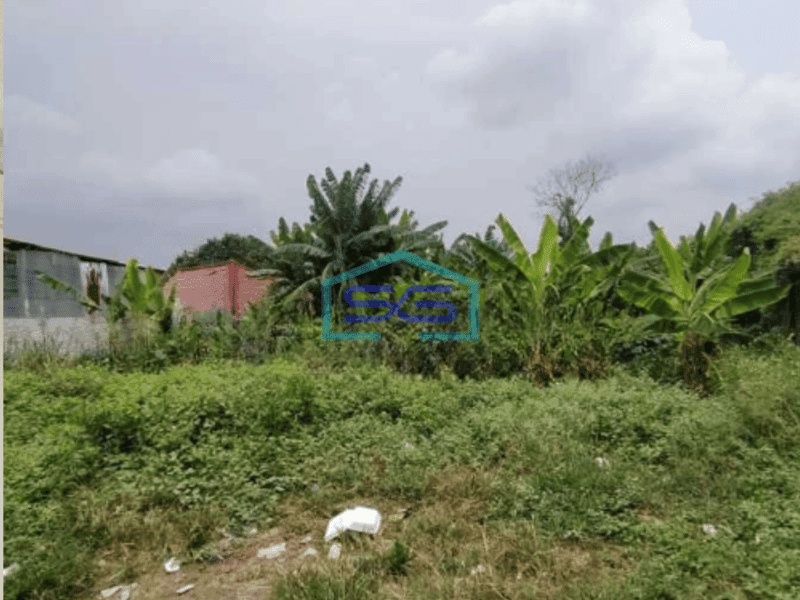 Dijual Tanah Di Kedaung Baru, Neglasari Tangerang Luas Tanah 4965 m²