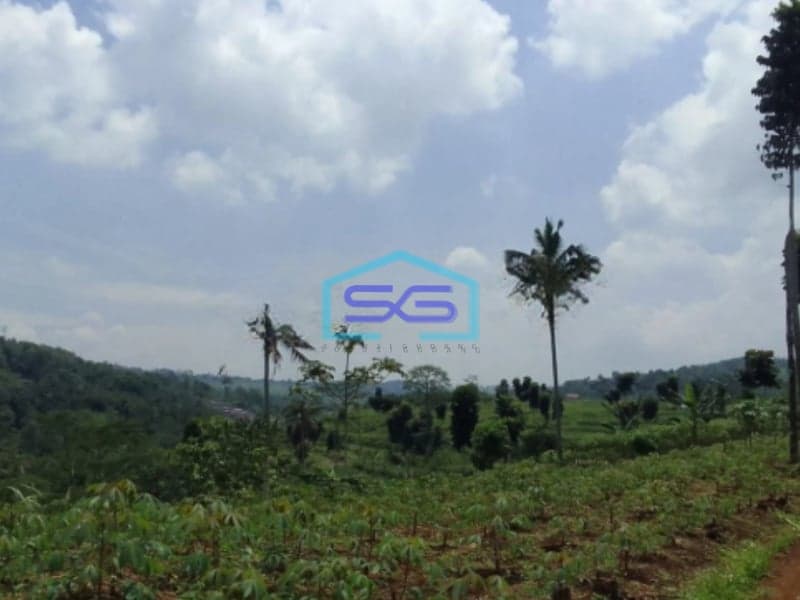 Dijual Tanah Dekat Pintu Tol Bocini Desa Ciambar Sukabumi Luas Tanah 40000m2