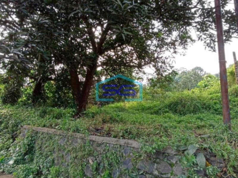 Dijual Tanah Di Batang Deket Kitb Luas Tanah 6980m2