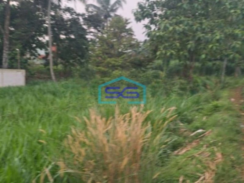 Dijual Tanah Di Kemang Bogor Luas Tanah 12000m2