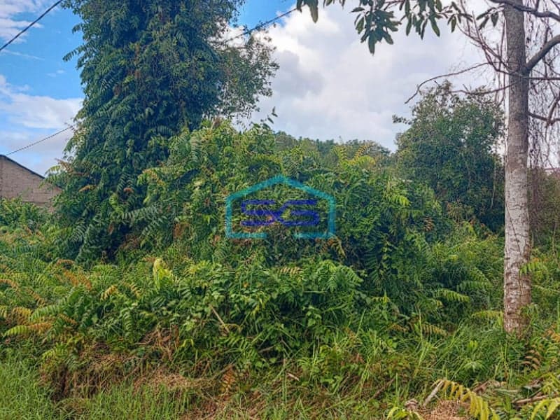 Dijual Tanah Kavling Luas di Jalan Kajan Bayan, Gandus Palembang Siap Bangun