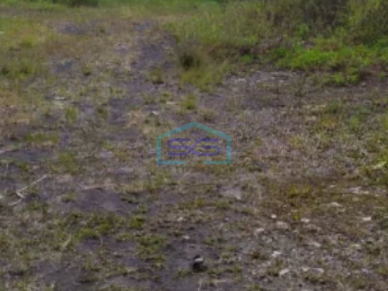 Dijual Tanah Super Murah di Ubud Gianyar Bali Luas Tanah 1500m2