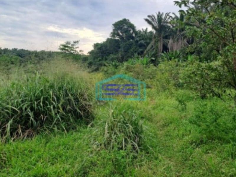 Dijual Tanah Di Gunung Sindur Bogor Luas Tanah 8000m2