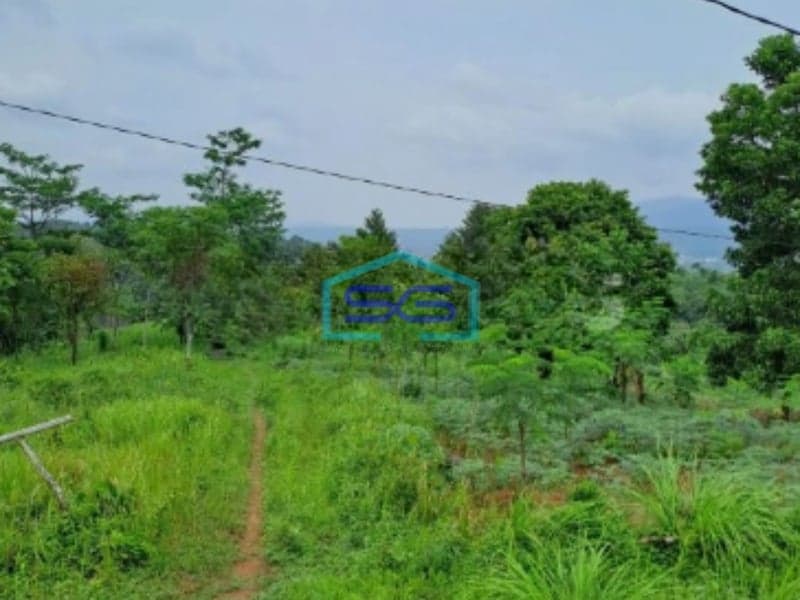 Dijual Tanah Leuwiang Lewisadeng Bogor Luas Tanah 120000m2