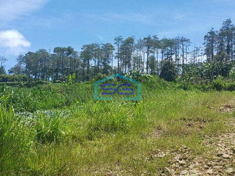 Dijual Tanah Lembang Asri Bandung View Bagus Luas Tanah 5400m2