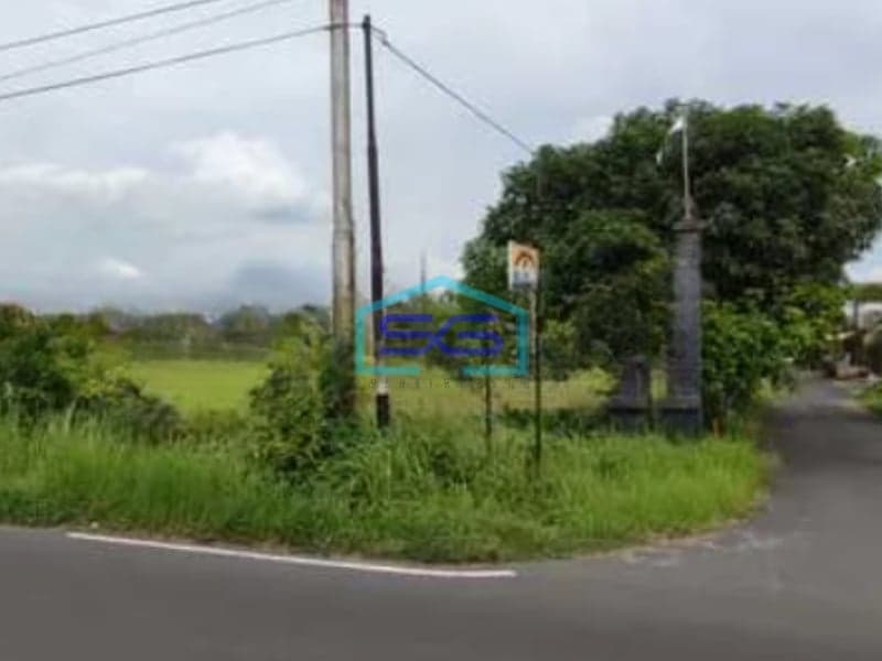 Dijual Tanah Pekarangan Luas Di Tlogo, Prambanan, Klaten Luas Tanah 3897 m²