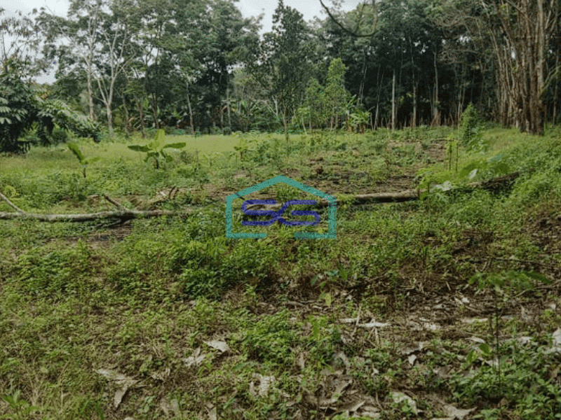 Dijual Tanah Jalan Padat Karya, Bukit Baru Palembang Luas 11382m2