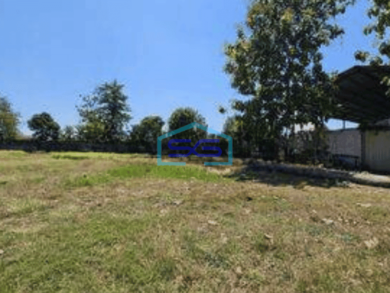 Dijual Pabrik Kayu Daerah Mranggen, Jawa Tengah