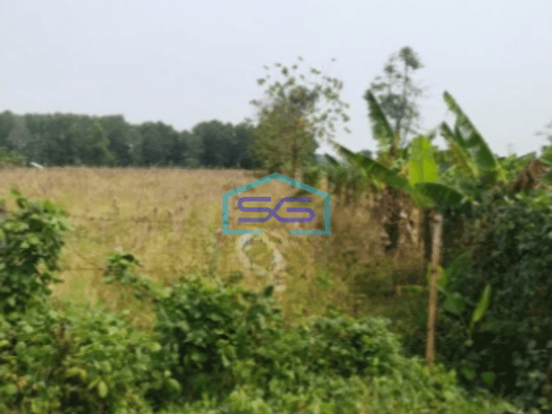 Dijual Tanah di Kertajati Jawa Barat Luas 28731m²