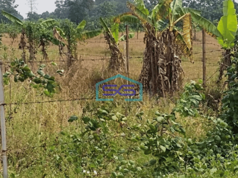 Dijual Tanah Di Kertajati Bersebelahan Dengan Kavling Gudang Garam dan Salim Group