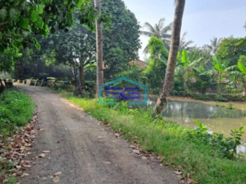 Dijual Tanah di Desa Cibodas Rumpin Bogor Jawa Barat Luas Tanah 3800m2