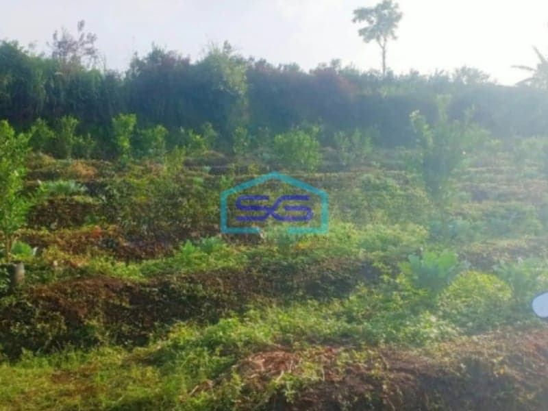Dijual Tanah Subur Lahan Kuning Siap Bangun di Bumiaji Batu Malang LT 2500m2