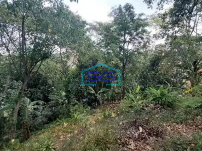 Dijual Tanah Di Sangkuriang Dago Bandung LT 9218m2