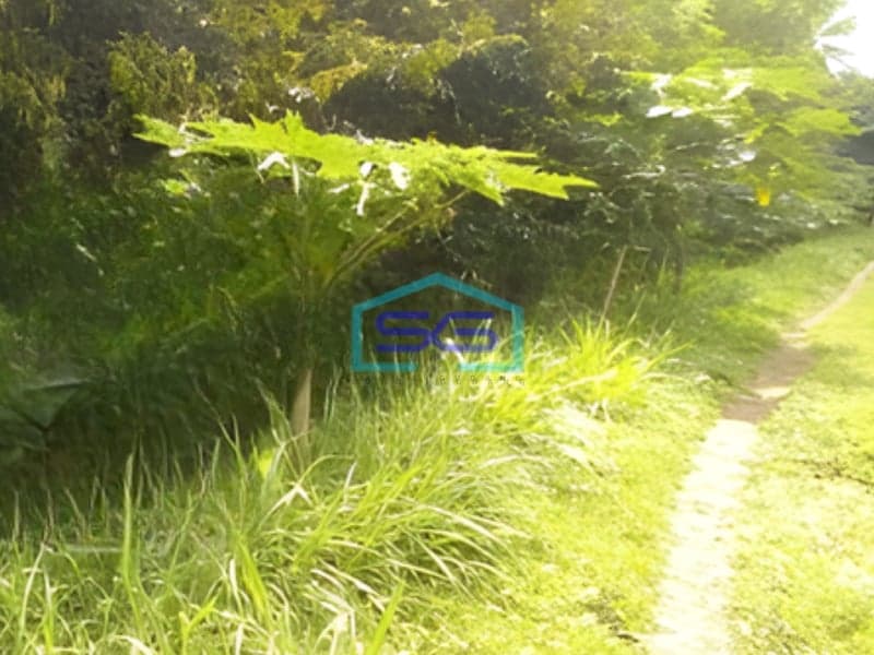 Dijual Tanah Luas 4013m2 SHM di Jl. Mayjend Sungkono Kedungkandang Malang