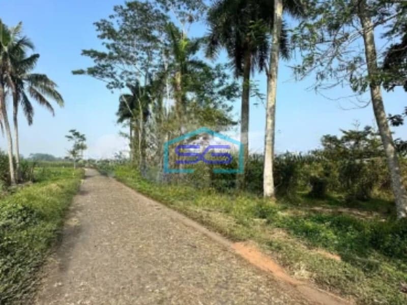 Dijual Tanah Luas 7320m2 SHM Lokasi di Pakisaji Malang