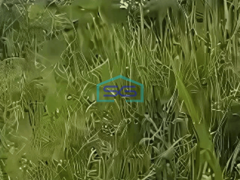 Dijual Tanah Lokasi Dekat Jalan Utama Di Gunung Sindur Bogor LT 1 Ha