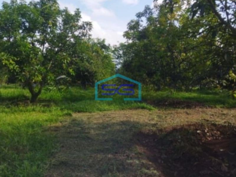 Dijual Tanah Strategis di Daerah Klapanunggal Bogor Luas Tanah 120000m2