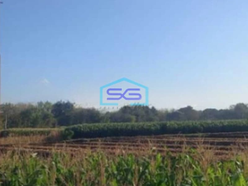 Dijual Tanah Zona Industri Lokasi Sumberlawang Sragen Jawa Tengah Luas 50 Ha