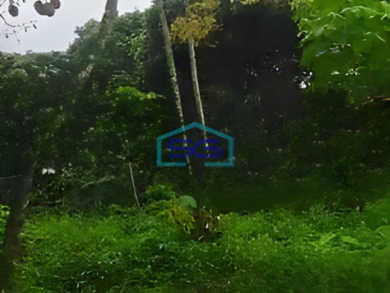 Dijual Tanah Luas 5800 m² Lokasi Boyolali Jawa Tengah