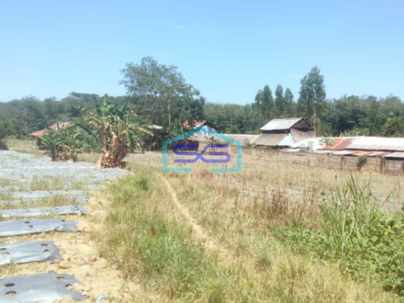 Dijual Tanah Luas di Talang Buluh Banyuasin Palembang Luas Tanah 22000m2