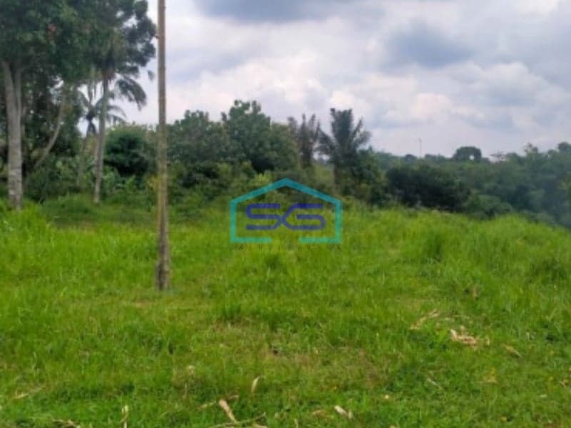 Dijual Tanah Bagus di Jalan Raya Cihdeng Kec Cijeruk Bogor LT 12000m2