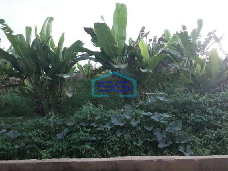 Dijual Tanah di Kutai Kalimantan LT 8000m2 Posisi Starategis