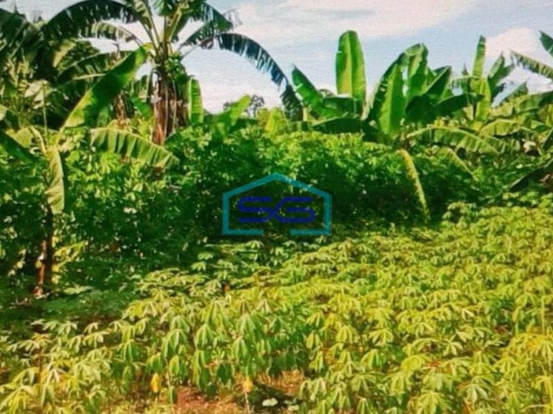 Dijual Tanah di Bogor Sangat Strategis Dipinggir Jalan LT 18872m2