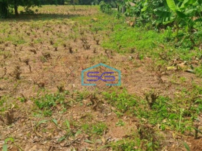 Dijual Tanah Di Kemang Bogor Luas Tanah 3500m2 SHM