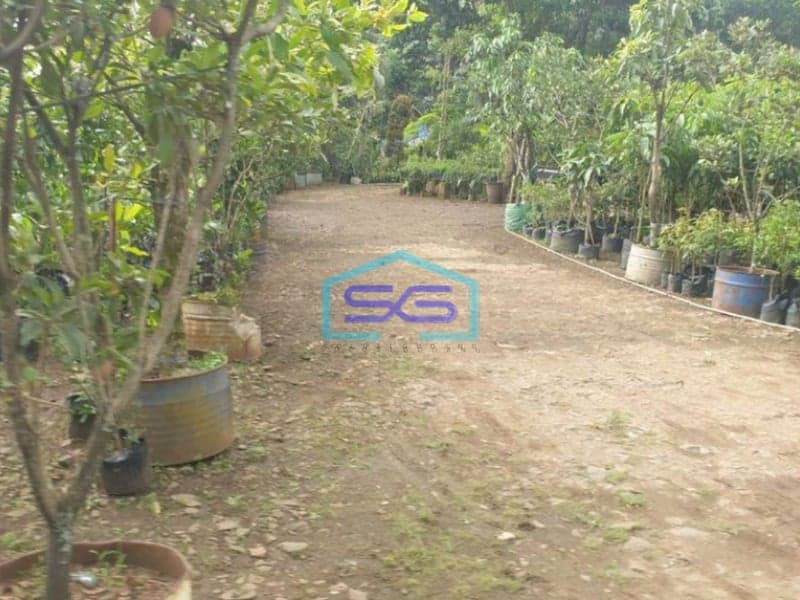 Dijual Tanah Luas 2 Ha Surat SHM di Curug Gunung Sindur Bogor Lokasi Strategis Dipinggir Jalan