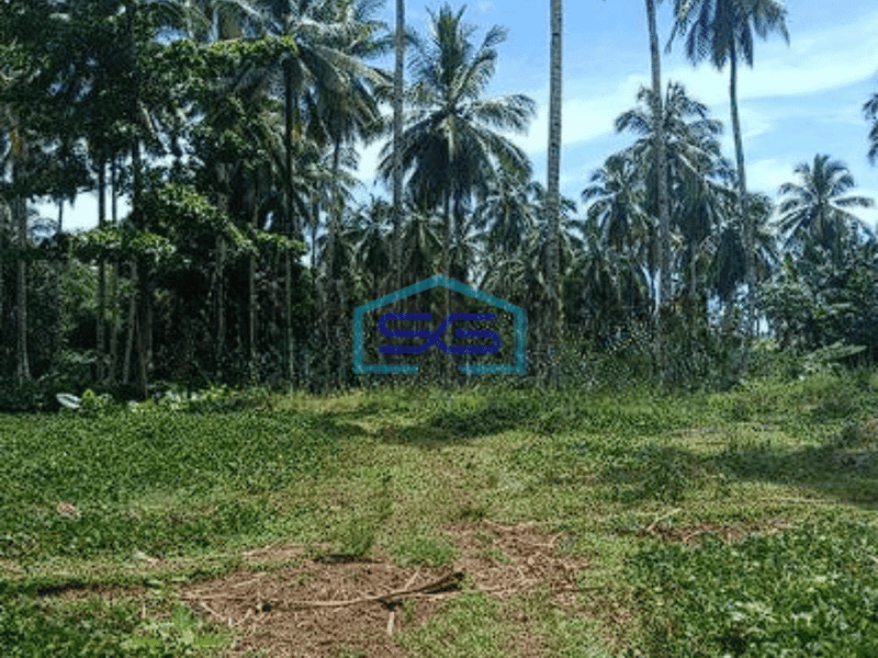 Dijual Tanah Luas 8 Ha Di Wori Minahasa Utara Dekat Perempatan Pandu Cocok Buat Investasi