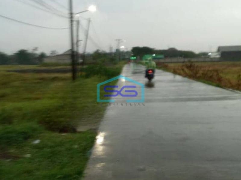 Dijual Tanah di Kec Sindang Jaya Pasar Kemis Tangerang Luas Tanah 6000 m²