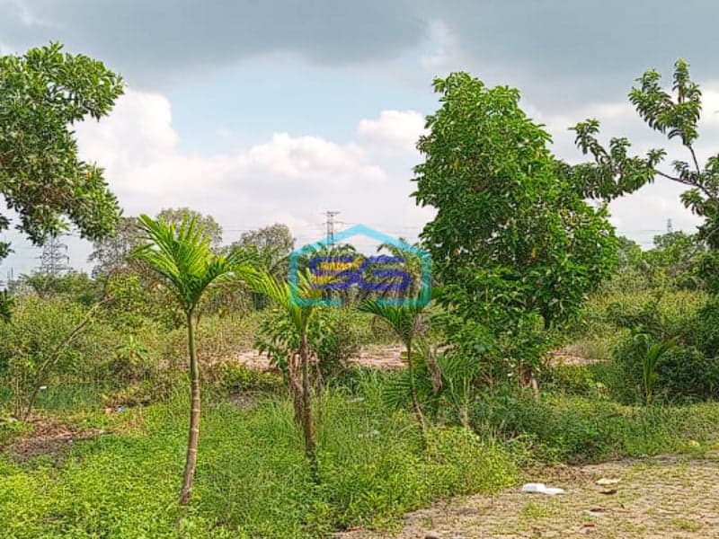 Dijual Tanah Strategis di Kawasan Tanjung Api Api, Banyuasin Sumatera Selatan