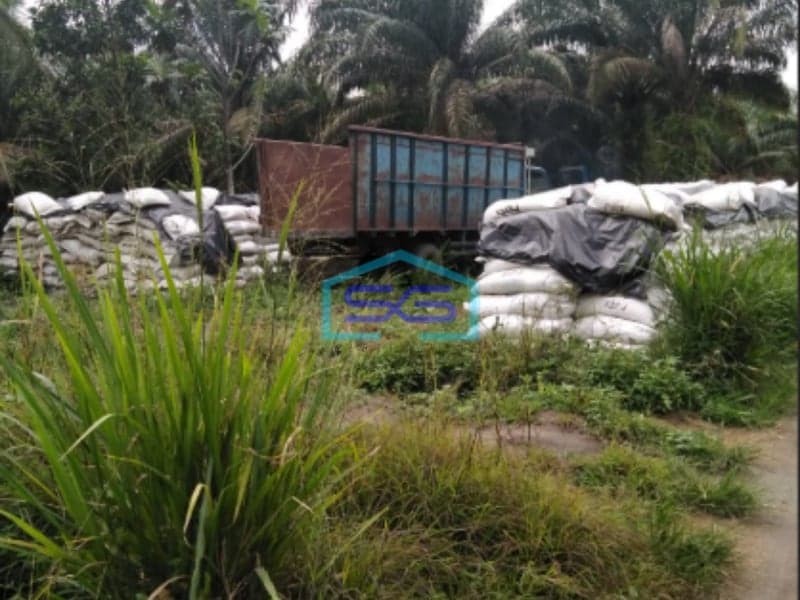 Dijual Murah Tanah Luas 13060m2 Siap Bangun Lokasi Payabakung Indralaya Palembang