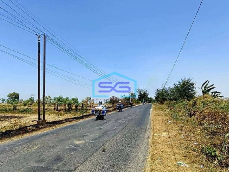 Dijual Tanah Murah Bebas Banjir Cocok Untuk Gudang Di Jln Raya Benjeng Gresik LT 5150m2