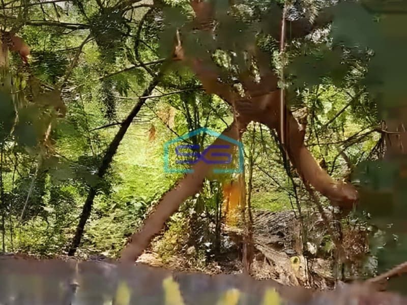 Dijual Murah Tanah Luas 7500m2 di Pinggir Jl Mampang Prapatan Jakarta Selatan