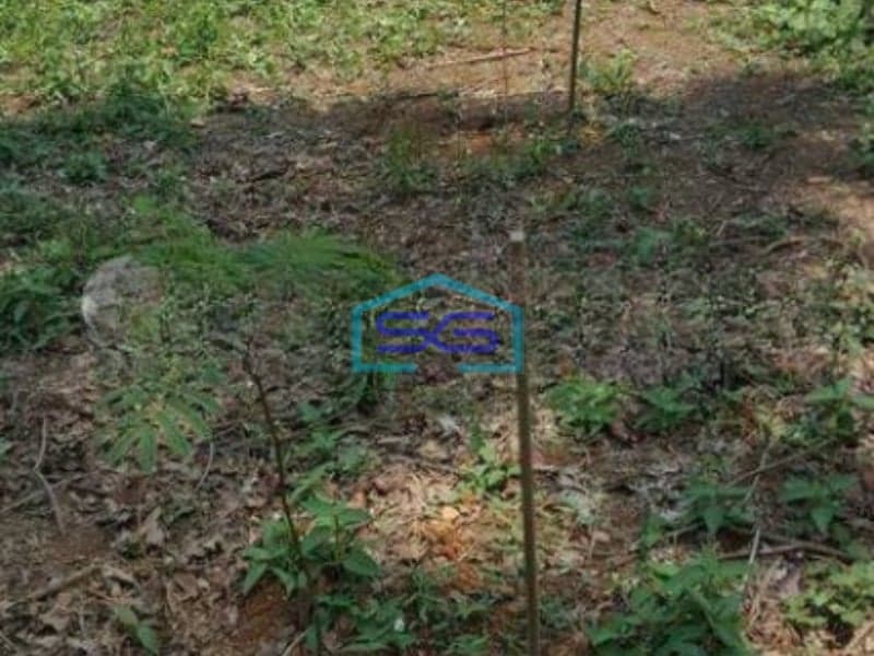 Dijual Tanah Dengan Lokasi Strategis Daerah Tenjo Bogor LT 12050m2 di Pinggir Jalan Raya