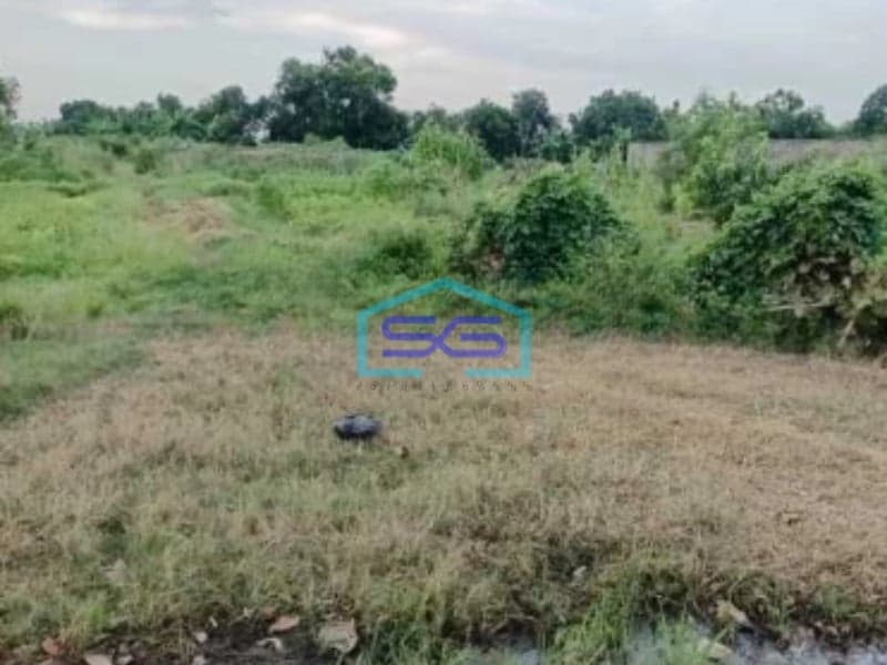 Dijual Tanah Siap Bangun Di Subang Jawa Barat Luas 200 Hektar