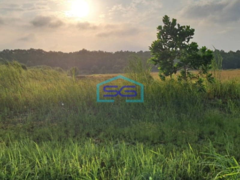 Dijual Tanah Kavling Industri Luas 1,7 Hektar di Daerah Karawang Barat