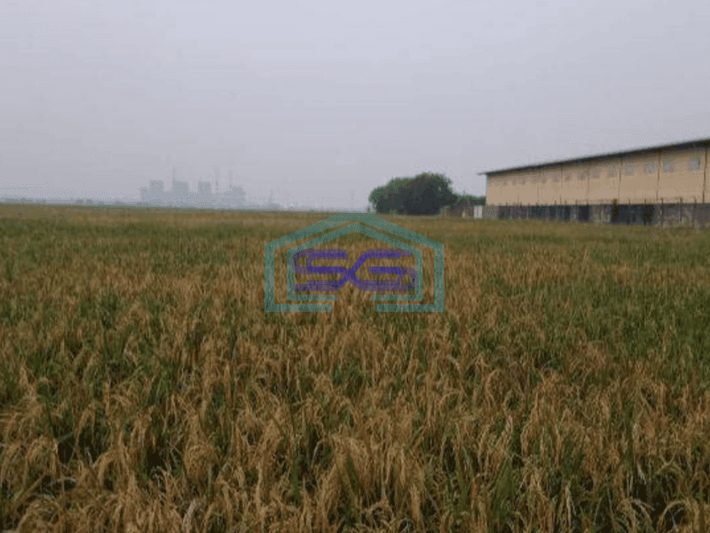 Dijual Tanah Komersil Zona Abu Abu Jalan Raya Mauk Tangerang SHM