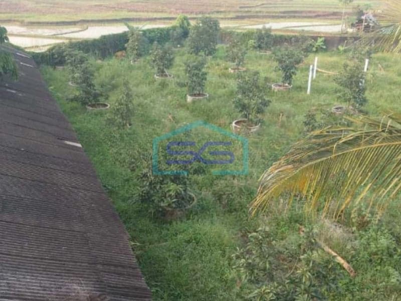西爪哇勿加酮Jonggol地块出售 土地面积10300平方米