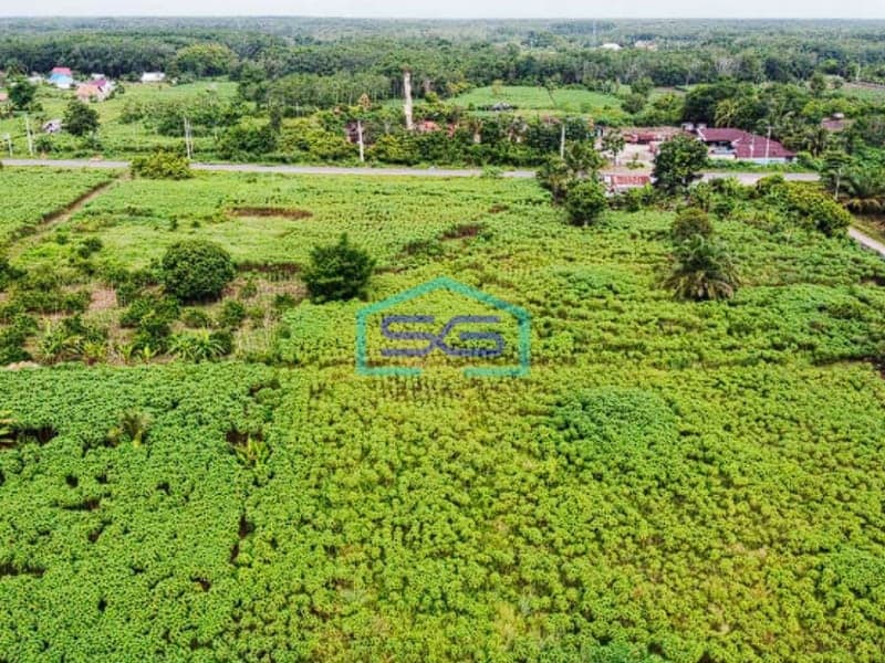 Disewakan Lahan di Tepi Jalan Palembang Prabumulih Luas 360000m2