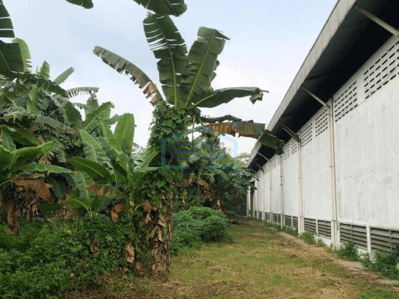 Disewakan Ex pabrik di cikupa dalam strategis akses kontener