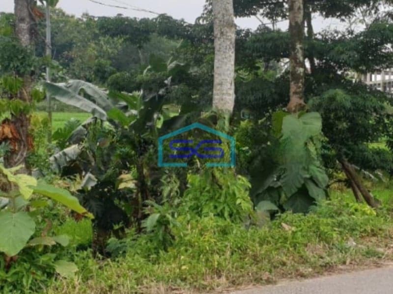 Dijual Tanah Murah di Karangpandan Solo Luas Tanah 2300m2 SHM