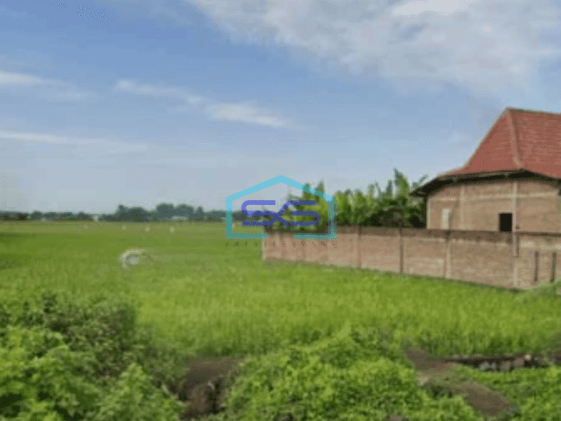 Dijual Tanah Lahan Strategis Industri Lokasi Masaran Sragen Luas 2 Ha