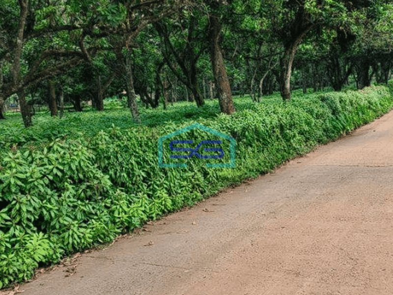 Dijual Tanah Bagus Lokasi Strategis Di Cisauk Tangerang LT 15000m2