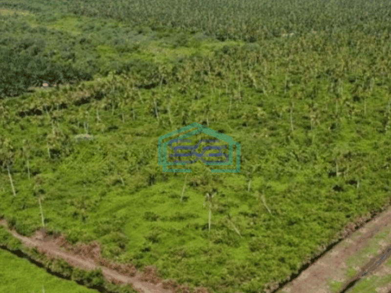 Dijual Tanah 30 Ha di Kec Jongkat Kab Mempawah Kalimantan Barat